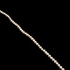 Cream Rose Pearl Freshwater 8x6mm Button Smooth Cut Loose Strand
