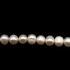 Pearl Freshwater Strand 8x6mm Button Smooth Cut Cream Rose Color June Birthstone