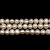 Pearl Freshwater Strand 8x6mm Button Smooth Cut Cream Rose Color June Birthstone