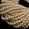 Freshwater Pearl Strand 7x6mm Button Smooth Cut Bridal White Color Jewelry Making
