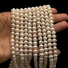 Freshwater Pearl Strand 7x6mm Button Smooth Cut Bridal White Color Jewelry Making