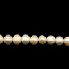 Pearl Freshwater 7x6mm Button Smooth Cut Cream Color Loose Strand