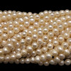 Pearl Freshwater 7x6mm Button Smooth Cut Cream Color Loose Strand