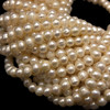 Pearl Freshwater 7x6mm Button Smooth Cut Cream Color Loose Strand