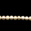 Pearl Freshwater Strand 7x6mm Button Smooth Cut Bridal White DIY Jewelry Making