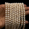 Pearl Freshwater Strand 7x6mm Button Smooth Cut Bridal White DIY Jewelry Making