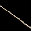 Pearl Freshwater 7x6mm Button Smooth Cut Ivory Color Loose Strand