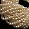Pearl Freshwater 7x6mm Button Smooth Cut Ivory Color Loose Strand