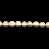 Freshwater Pearl Button Smooth Cut 7x6mm Bridal White Color Loose Strand