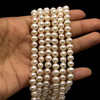Freshwater Pearl 7x6mm Button Smooth Cut Bridal White Color Loose Strand