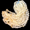 Natural Chalcedony Round 8mm Faceted Drilled Beads | VS Clarity | 16 inch Loose Strand Jewelry Making