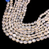 Natural Chalcedony Mani 10x9-14x9mm Plain Smooth Drilled Beads | VS Clarity | 15 inch Loose Strand Jewelry Making