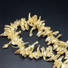 Shell Beads Strand 40x4-17x4 mm Fancy Plain Cut VVS2 Clarity Light Gold Color Birthstone Jewelry Making