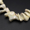 Mother of Pearl Beads Strand 26x17-19x14 mm Ship Plain Cut VVS Clarity Light Cream Color Birthstone Jewelry Making