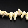 Mother of Pearl Beads Strand 25x18-19x11 mm Ship Plain Cut VVS Clarity Light Cream Color Birthstone Jewelry Making