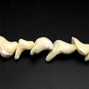 Mother of Pearl Beads Strand 28x15-22x13 mm Ship Plain Cut VVS Clarity Light Cream Color Birthstone Jewelry Making
