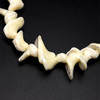 Mother of Pearl Beads Strand 28x15-22x13 mm Ship Plain Cut VVS Clarity Light Cream Color Birthstone Jewelry Making