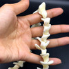 Mother of Pearl Beads Strand 28x15-22x13 mm Ship Plain Cut VVS Clarity Light Cream Color Birthstone Jewelry Making