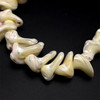 Mother of Pearl Beads Strand 25x15-21x12 mm Ship Plain Cut VVS Clarity Light Cream Color Birthstone Jewelry Making