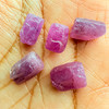 Natural Ruby Uncut Earth mined Rough Super High Grade 18.65 Carats 5 Pcs Merlot Color Guinea Mines Raw Gemstone July Birthstone