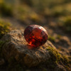 Natural Spessartite Garnet Gemstone Certified Round Flower Cut Intense Orange Color 7.85 Carat Flawless Clarity 11.8x11.8mm January Birthstone Jewellery For Vitality & Creativity Crystal for Passion & Strength