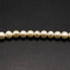 Freshwater Pearl Ivory Oval VS Clarity 6x5.5mm 78 Pcs Strand Symbol of Grace and Heart Calming Energy