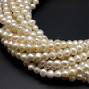 Freshwater Pearl Ivory Color Oval VS Clarity 6x5.5mm 81 Pcs Strand Ideal for Calming Heart Chakra Energy