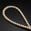 Freshwater Pearl Strand | 7.5x5.5mm Light Pink Button | 66 Pcs 156.94 Carats | 15.4 Inch | Organic Pearl Strands Jewelry Making