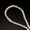 Freshwater Pearl Strand | 7x6mm Cream Color Button Ringed | 62 Pcs 112.5 Carats | 15 Inch | High Luster Pearl Strands Jewelry Making