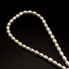 Freshwater Pearl Strand | 7x5mm Cool White Color Drop Oval | 55 Pcs 79 Carats | 15 Inch | High Luster Pearl Strands Jewelry Making
