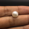 Fresh Water Pearl 9.00 mm Button/Rondelle Plain Cut Cream Color FL Clarity June Birthstone