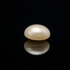 Fresh Water Pearl 9.00 mm Button/Rondelle Plain Cut Cream Color FL Clarity June Birthstone