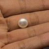 Fresh Water Pearl 9.00 mm Button/Rondelle Plain Cut FL Clarity Cream Color June Birthstone