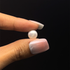 Fresh Water Pearl 9.00 mm Button/Rondelle Plain Cut FL Clarity Cream Color June Birthstone