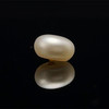 Fresh Water Pearl 9.00 mm Button/Rondelle Cream Color Plain Cut FL Clarity June Birthstone