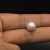 Fresh Water Pearl 9.10 mm Button/Rondelle Plain Cut VVS2 Clarity Pink Color June Birthstone