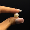 Fresh Water Pearl 10.5 mm Button/Rondelle Plain Cut Cream Color FL Clarity June Birthstone