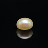 Fresh Water Pearl 10.3 mm Button/Rondelle Plain Cut Cream Color FL Clarity June Birthstone