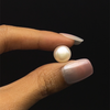 Fresh Water Pearl 10.3 mm Button/Rondelle Cream Color Plain Cut FL Clarity June Birthstone