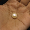 Fresh Water Pearl 10.3 mm Cream Color Button/Rondelle Plain Cut FL Clarity June Birthstone