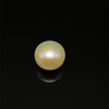 Fresh Water Pearl 10.3 mm Cream Color Button/Rondelle Plain Cut FL Clarity June Birthstone