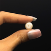 Fresh Water Pearl 10.3 mm Cream Color Button/Rondelle Plain Cut FL Clarity June Birthstone