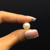 Fresh Water Pearl 10.3 mm Cream Color Button/Rondelle Plain Cut FL Clarity June Birthstone