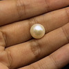 Fresh Water Pearl Cream Color 10.3 mm Button/Rondelle Plain Cut FL Clarity June Birthstone