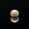 Fresh Water Pearl Cream Color 10.3 mm Button/Rondelle Plain Cut FL Clarity June Birthstone