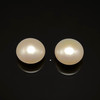 Freshwater Pearl 10.70mm Button/Rondelle Plain Smooth 2 Piece 11.85 Carats VS Clarity Cream Color Drilled Pearly Luster Jewelry Making June Birthstone