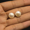 Fresh Water Pearl 10.5-10.7 mm Button/Rondelle Plain Cut VS Clarity Cream Color June Birthstone