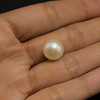 Fresh Water Pearl 10.6 mm Button/Rondelle Plain Cut VS Clarity Cream Color June Birthstone