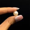 Fresh Water Pearl 10.6 mm Button/Rondelle Plain Cut VS Clarity Cream Color June Birthstone