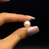 Freshwater Pearl 10.20mm Button/Rondelle Plain Smooth 1 Piece 5.78 Carats VVS1 Clarity Cream Color Drilled Pearly Luster Jewelry Making June Birthstone